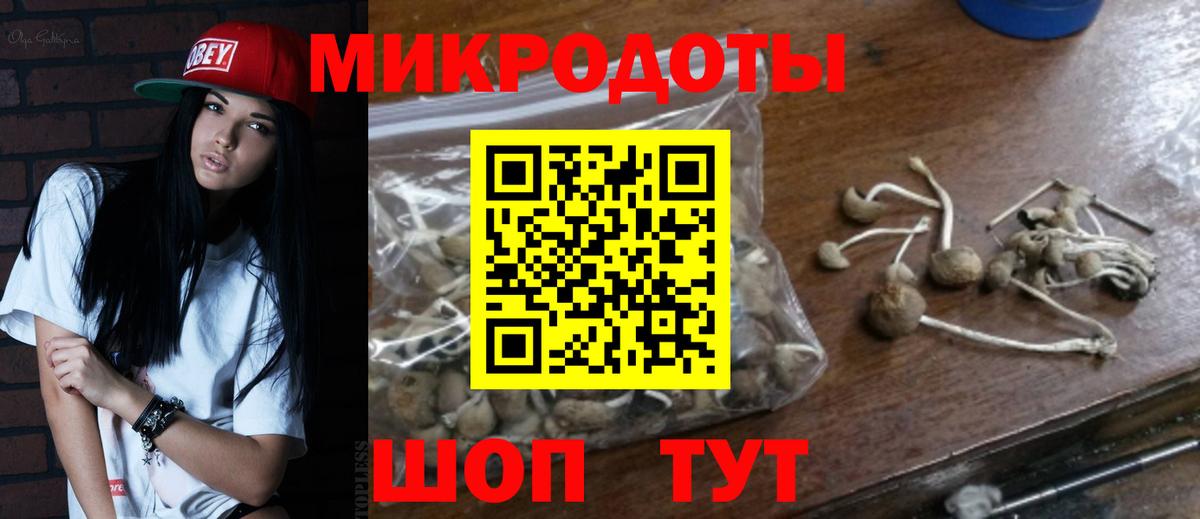 Галлюциногенные грибы MAGIC MUSHROOMS  Вход с VPN  как найти   Кандалакша 